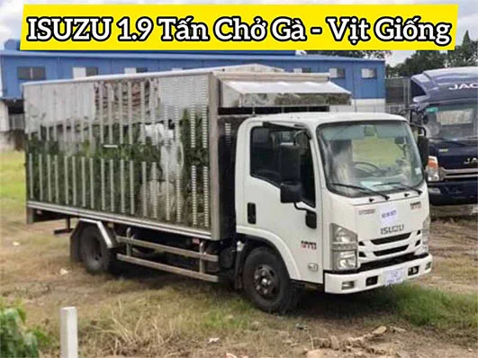 Xe Chở Gà Vịt Giống ISUZU 1.9 Tấn - có sẵn giao ngay