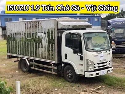 Xe Chở Gà Vịt Giống ISUZU 1.9 Tấn - mua ngay
